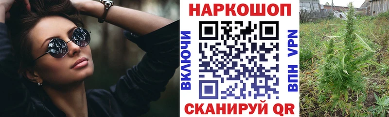Псилоцибиновые грибы Ялуторовск