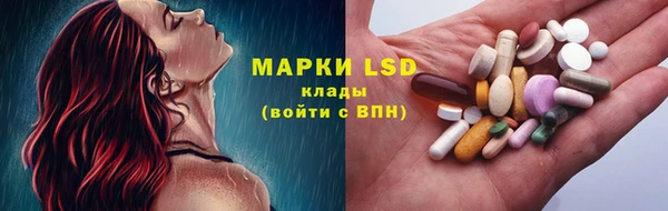 ПСИЛОЦИБИНОВЫЕ ГРИБЫ Лагань