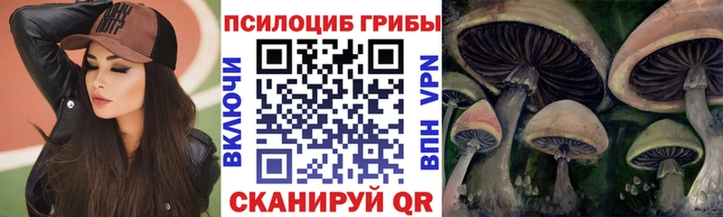 Галлюциногенные грибы MAGIC MUSHROOMS Ялуторовск