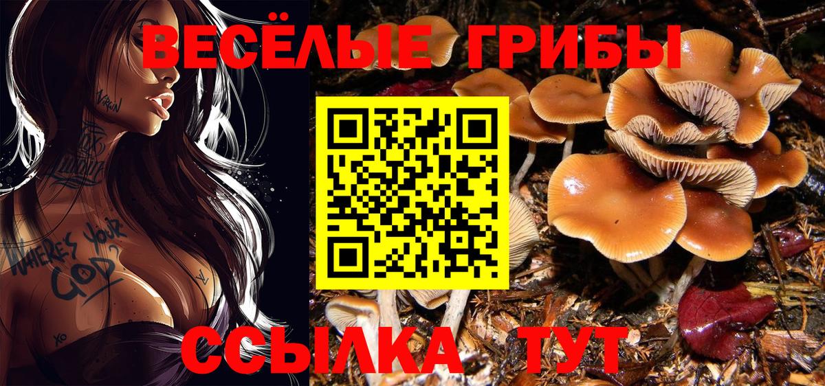 Галлюциногенные грибы GOLDEN TEACHER  Вход с VPN  купить закладку  Ялуторовск  Галлюциногенные грибы MAGIC MUSHROOMS 